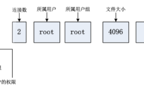 【玩转Linux】如何简单快速理解权限？