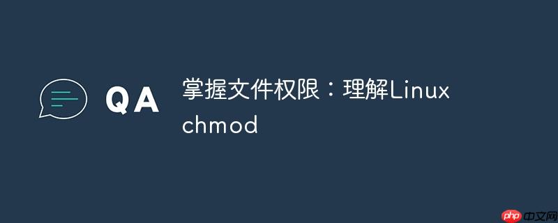 掌握文件权限:理解linux chmod