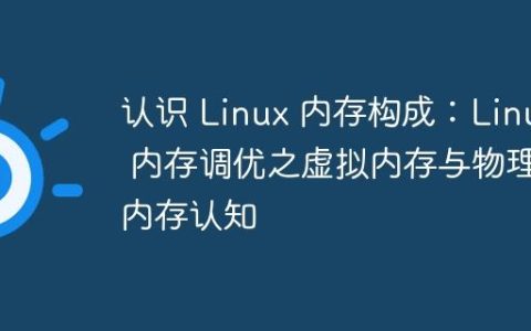 认识 Linux 内存构成：Linux 内存调优之虚拟内存与物理内存认知