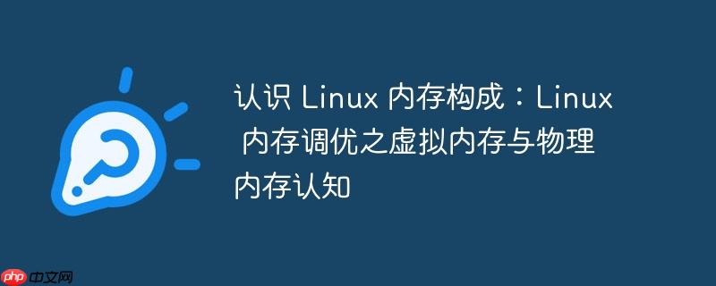 认识 Linux 内存构成:Linux 内存调优之虚拟内存与物理内存认知