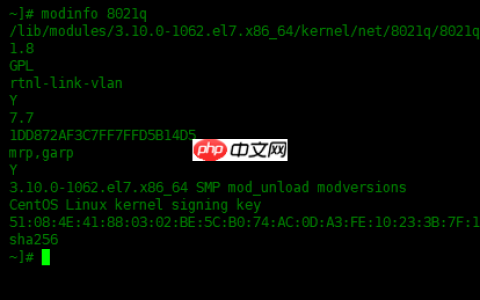 冷知识，教你如何在 Linux 上划分VLAN！