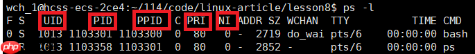 【Linux篇】你敢信?你的代码运行速度竟由这个‘隐形裁判’决定——进程优先级全解码
