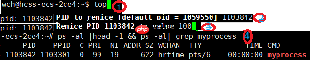 【Linux篇】你敢信?你的代码运行速度竟由这个‘隐形裁判’决定——进程优先级全解码