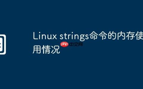 Linux strings命令的内存使用情况