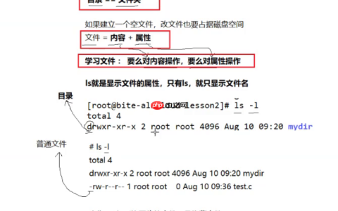 Linux下的基本指令