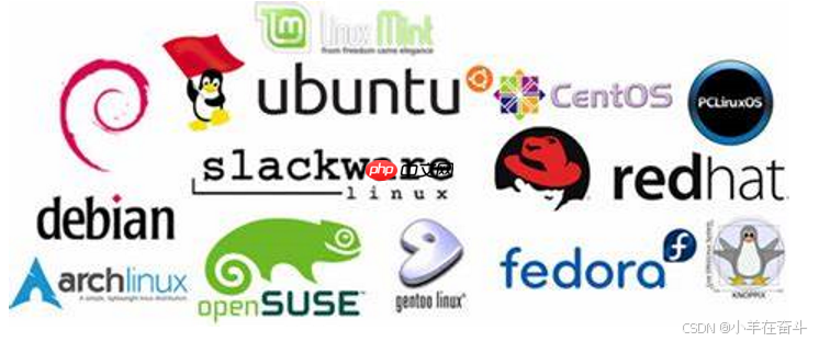 【Linux】萌新看过来!一篇文章带你走进Linux世界