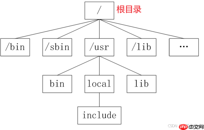 【Linux】萌新看过来!一篇文章带你走进Linux世界