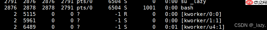 初识Linux · 进程（3）
