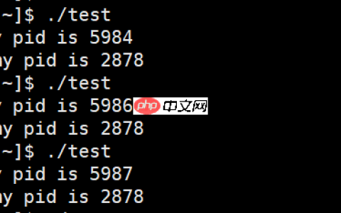 初识Linux · 进程（3）