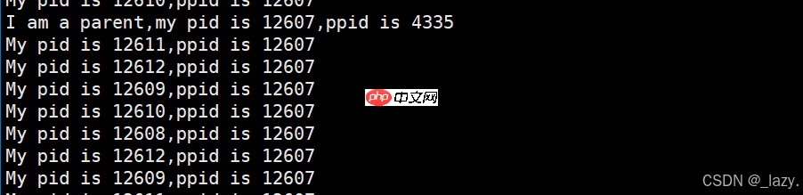 初识Linux · 进程(3)