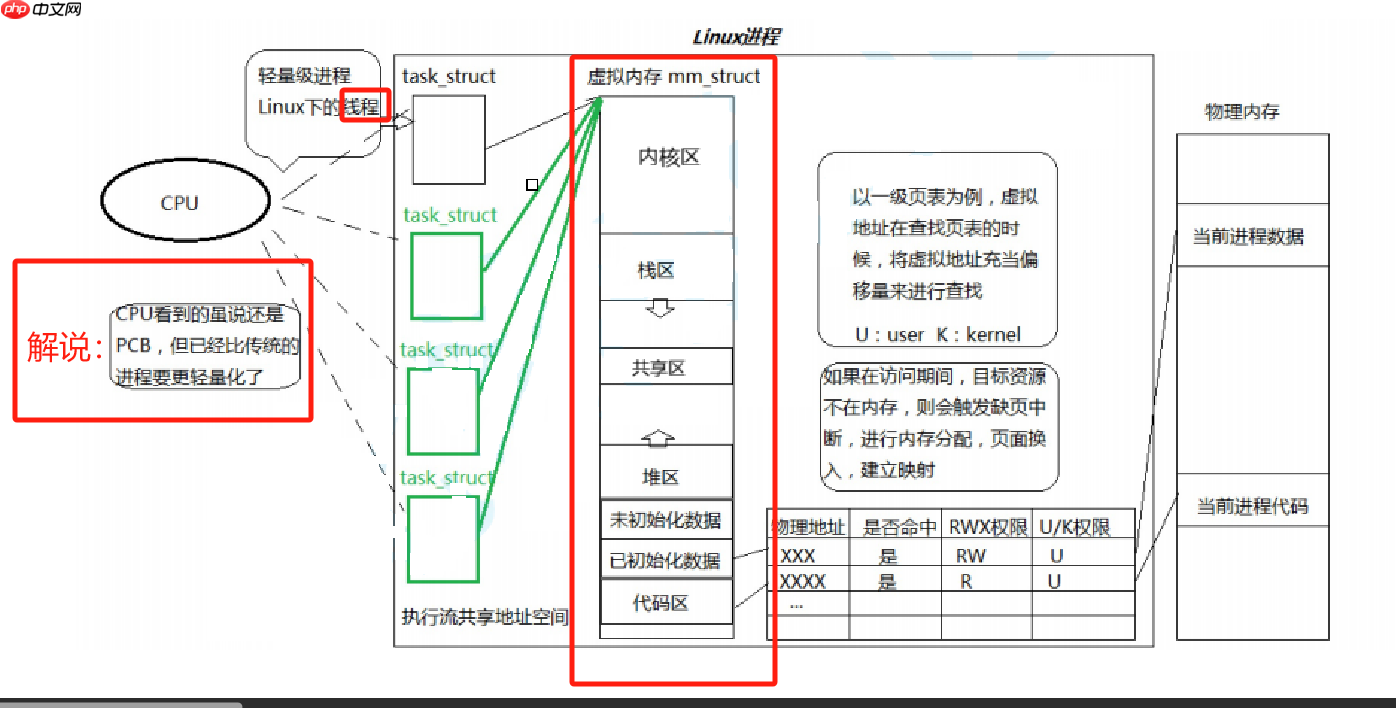 【Linux】了解pthread线程库,清楚并没有线程创建接口,明白Linux并不存在真正意义的线程(附带模型图详解析)