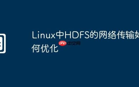 Linux中HDFS的网络传输如何优化