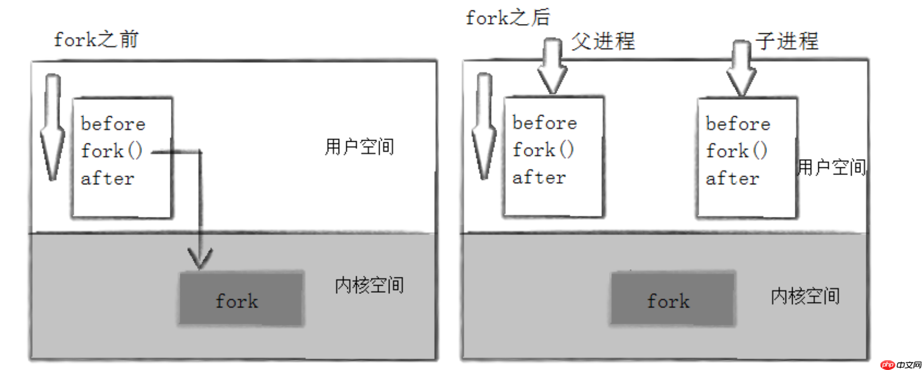 【linux】进程创建与进程终止