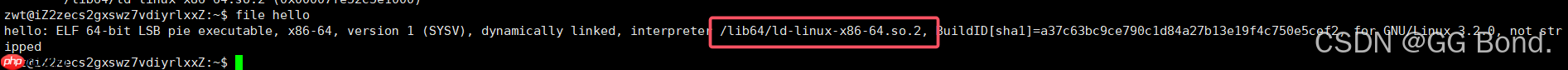 【Linux探索学习】第八弹——Linux工具篇(三):Linux 中的编译器 GCC 的编译原理和使用详解