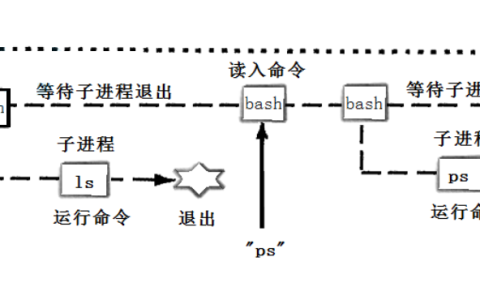【Linux】实现一个简易的shell命令行