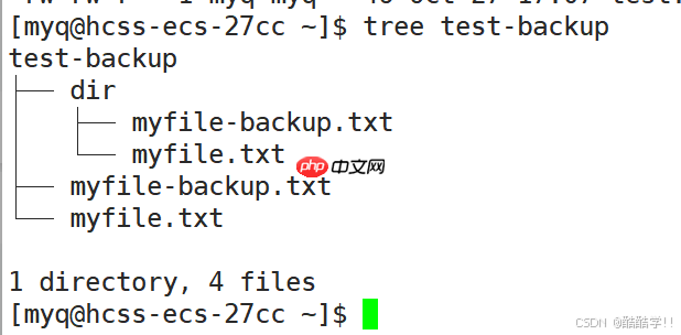 Linux基础指令(汇总)