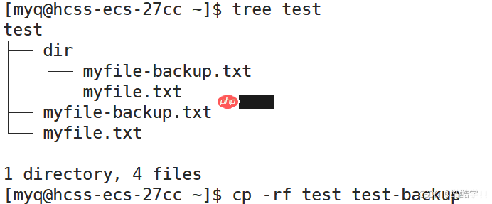 Linux基础指令(汇总)