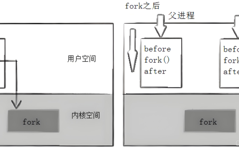 【Linux】进程控制&实现自主shell