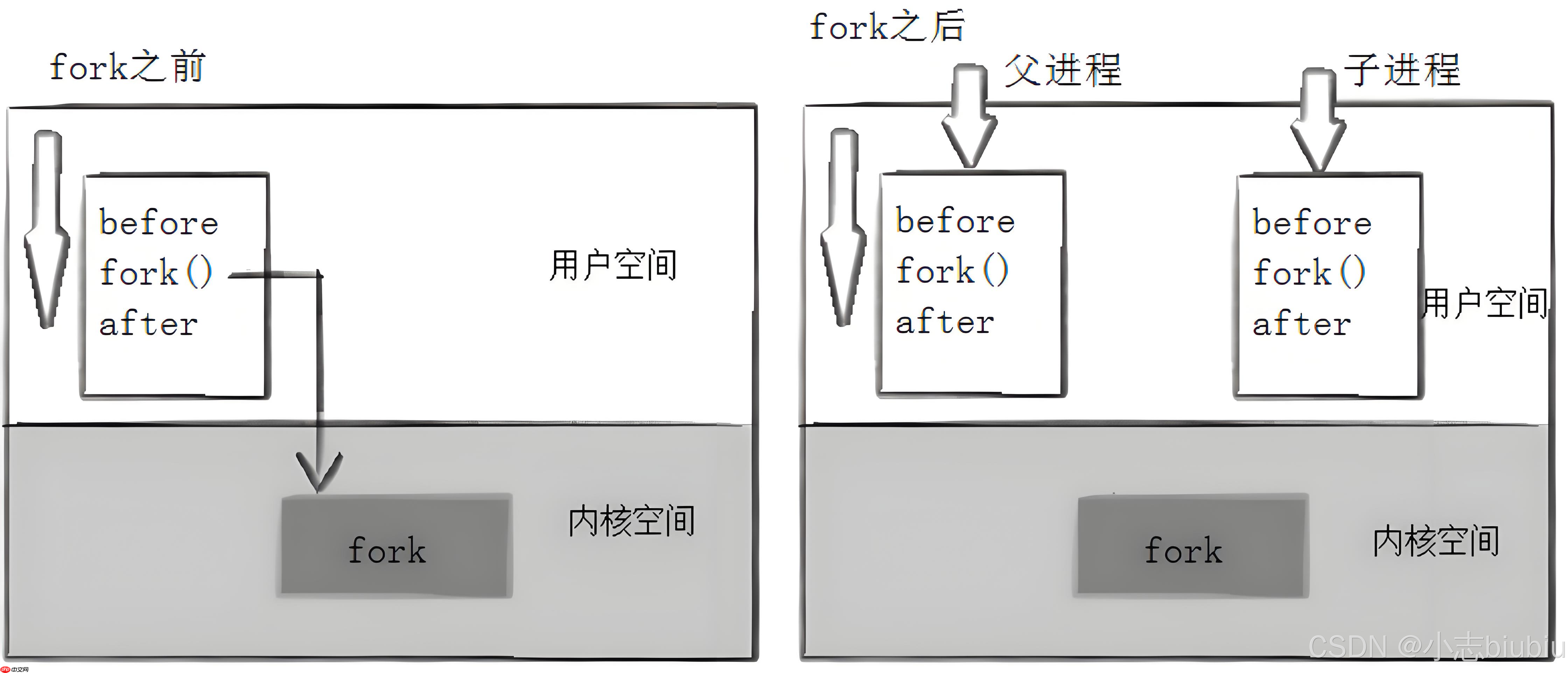 【Linux】进程控制&实现自主shell