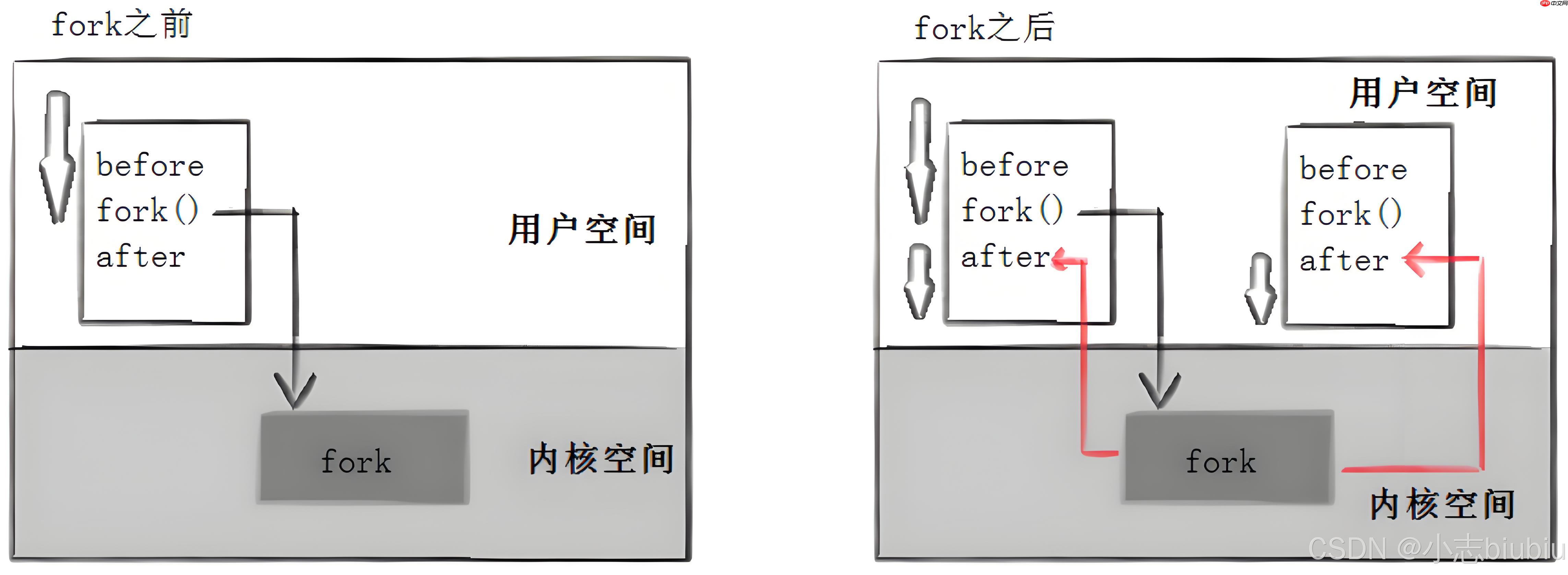 【Linux】进程控制&实现自主shell
