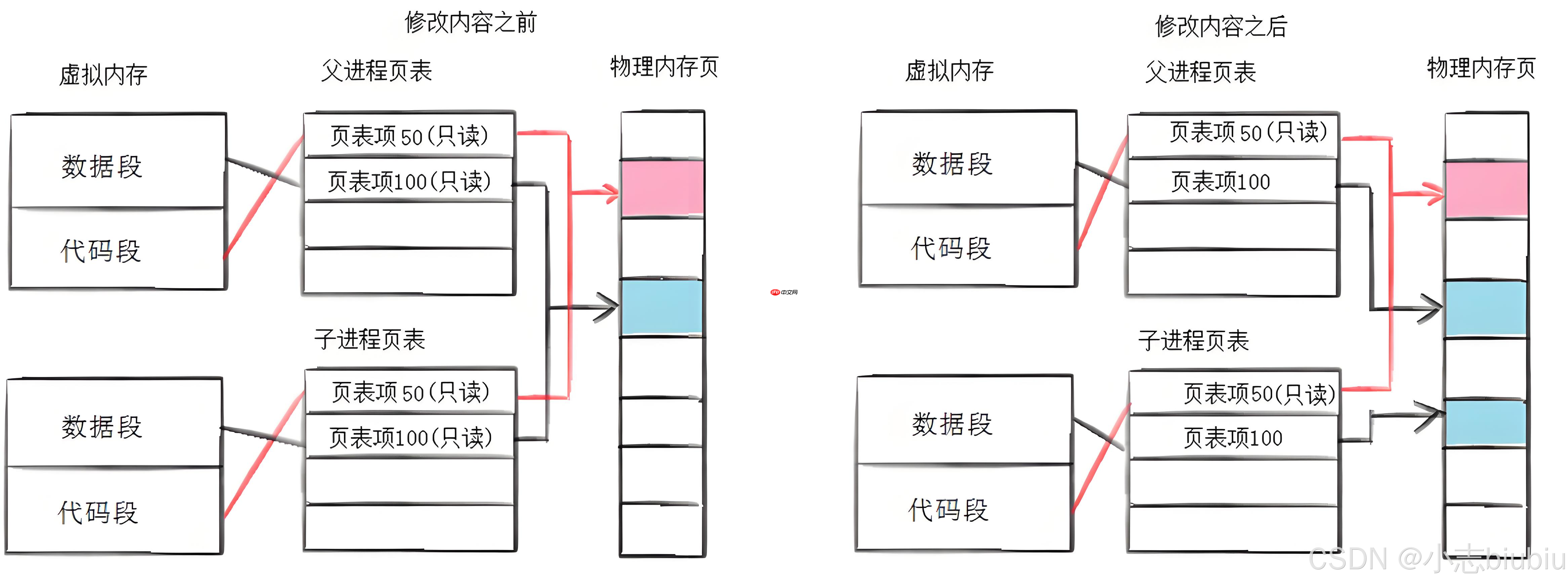 【Linux】进程控制&实现自主shell