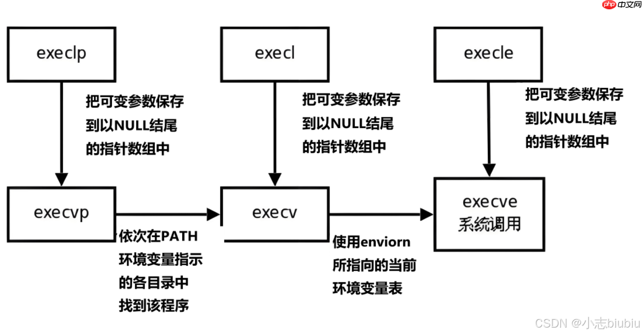 【Linux】进程控制&实现自主shell