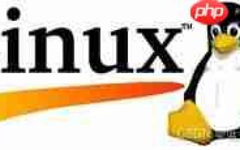 Linux入门-基础指令和权限
