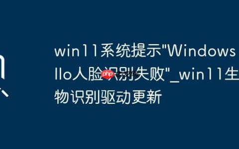 win11系统提示”Windows Hello人脸识别失败”_win11生物识别驱动更新