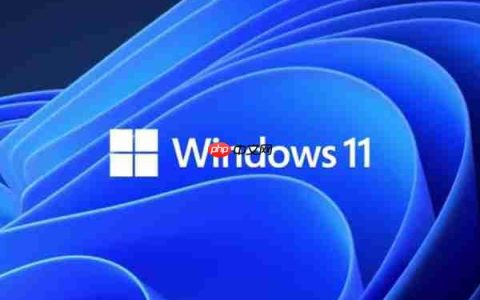 Win11的更新文件在哪里？Win11更新文件的位置