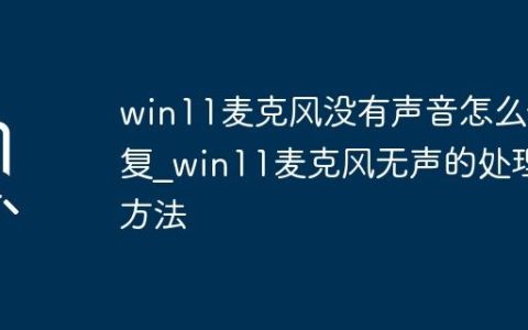 win11麦克风没有声音怎么修复_win11麦克风无声的处理方法