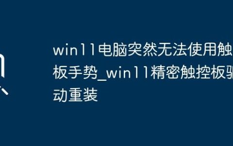 win11电脑突然无法使用触控板手势_win11精密触控板驱动重装
