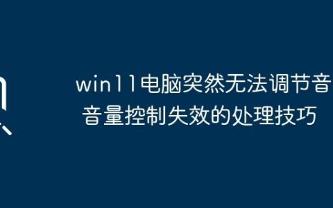 win11电脑突然无法调节音量 音量控制失效的处理技巧