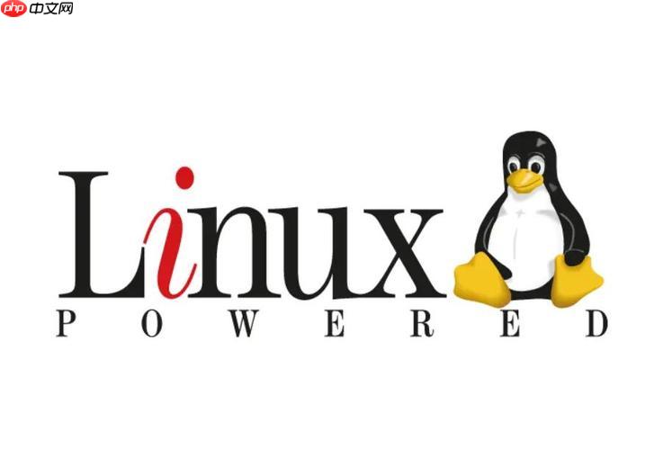 修复Linux服务器