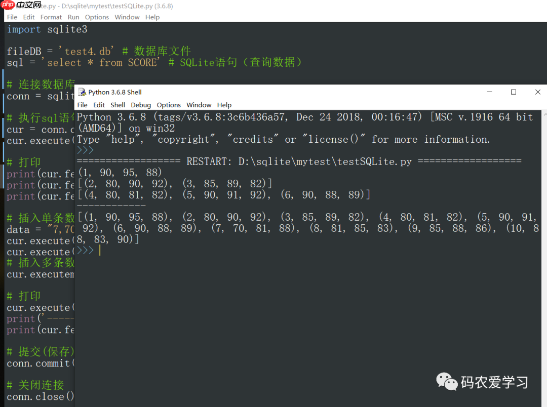 玩转SQLite5:使用Python来读写数据库