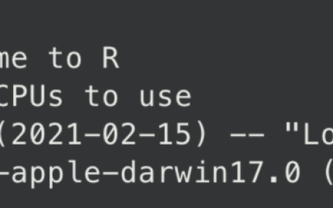 10. R studio/R 工具指南（九：配置R 的启动文件）