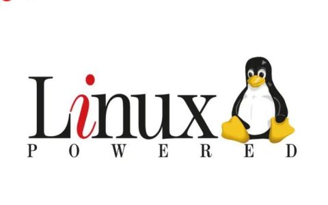 如何修复Linux中的”Device or resource busy”错误