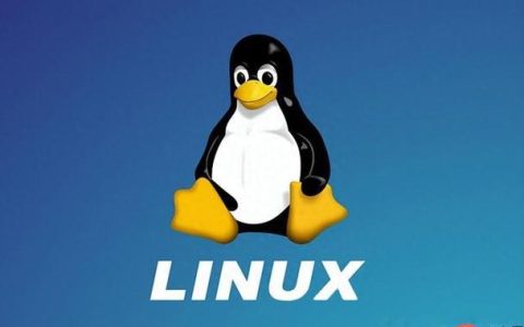 Linux中如何查找进程占用的端口？netstat与ss命令使用技巧