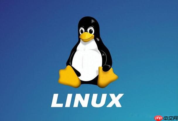 Linux中如何查找进程占用的端口?netstat与ss命令使用技巧