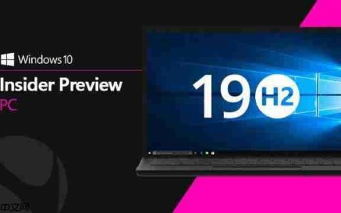 Windows 10赢得反向Web图像搜索工具