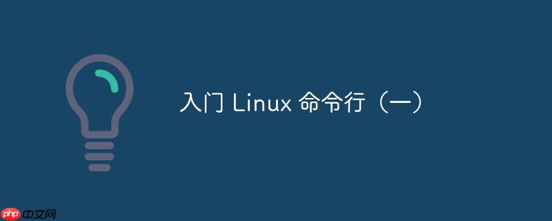 入门 linux 命令行(一)