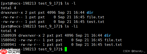 【Linux基础IO】从零到一:文件管理系统深度探索