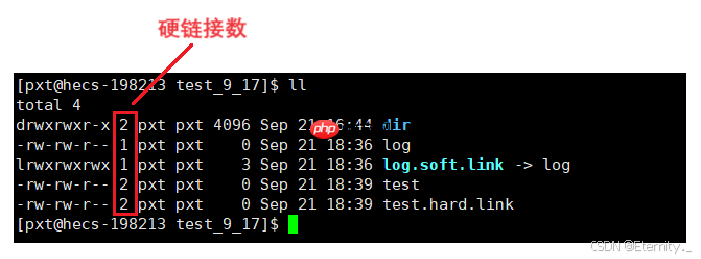 【Linux基础IO】从零到一:文件管理系统深度探索