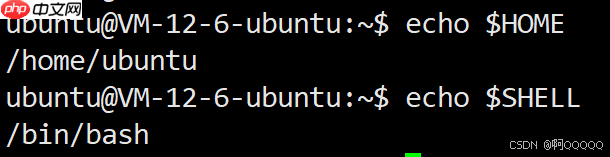 Linux系统编程:环境变量