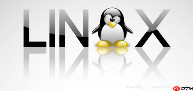 linux操作系统基础