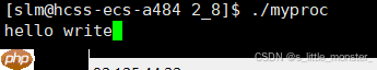 【Linux】缓冲区和文件系统