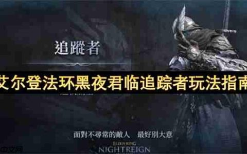 艾尔登法环黑夜君临追踪者完全攻略：跳劈与机制进阶实战技巧