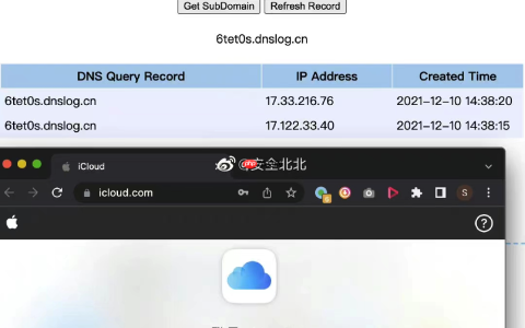 DNS在远程调用执行中的应用