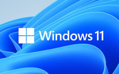 win11需要什么配置才能支持更新