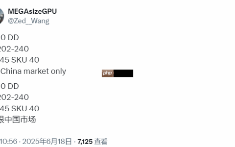 严重缩水！NVIDIA将会推出中国特供RTX 5090DD！
