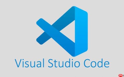 如何利用 VSCode 的扩展 API 开发自定义插件？